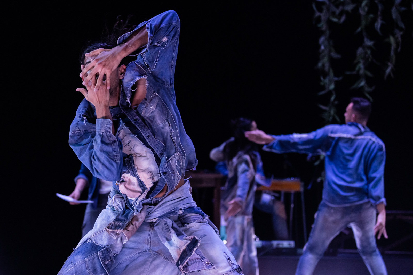 Photo by Pedro Greig